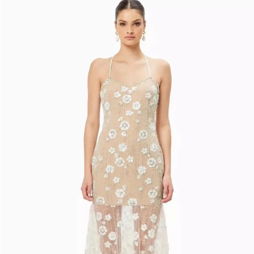 Elliatt Retusa Embellished Mesh Gown